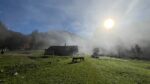 Sonne durchbricht den Nebel