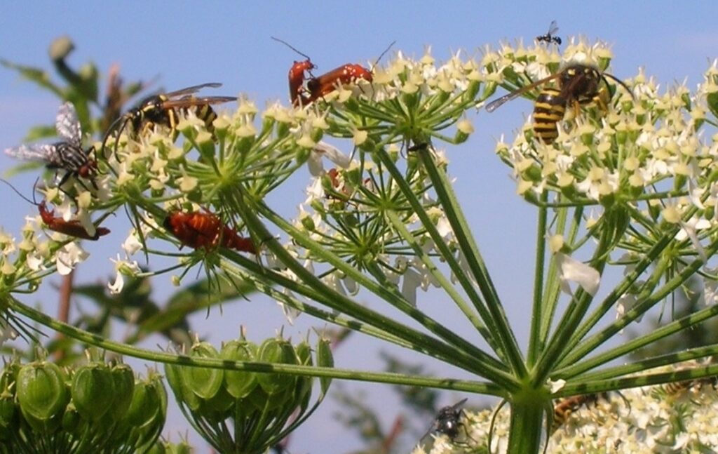 Systemaufstellung - jeder hat seinen Platz